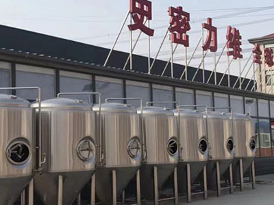 紫阳精酿啤酒设备厂—市场规模与跨界新需求